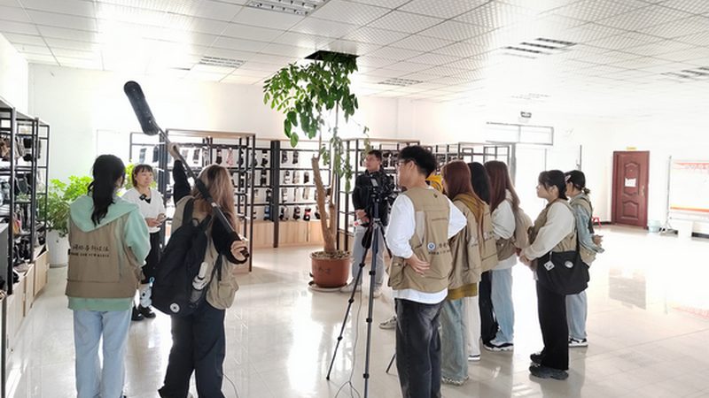 媒介投放策略：精准定位，高效触达**